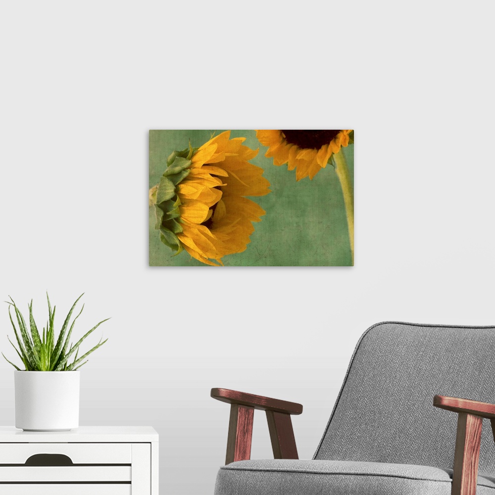 A modern room featuring Sunflowers