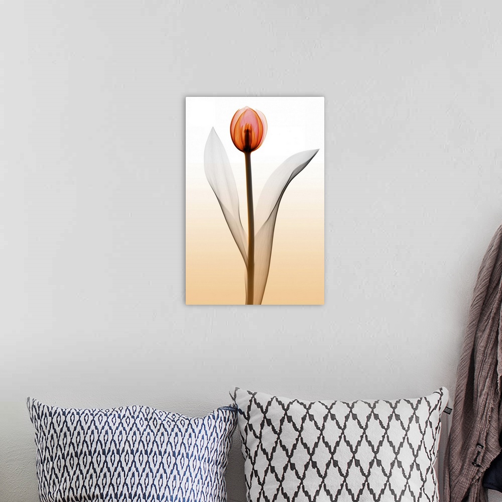 A bohemian room featuring Fine art photograph using an x-ray effect to capture an ethereal-like image of a single tulip.