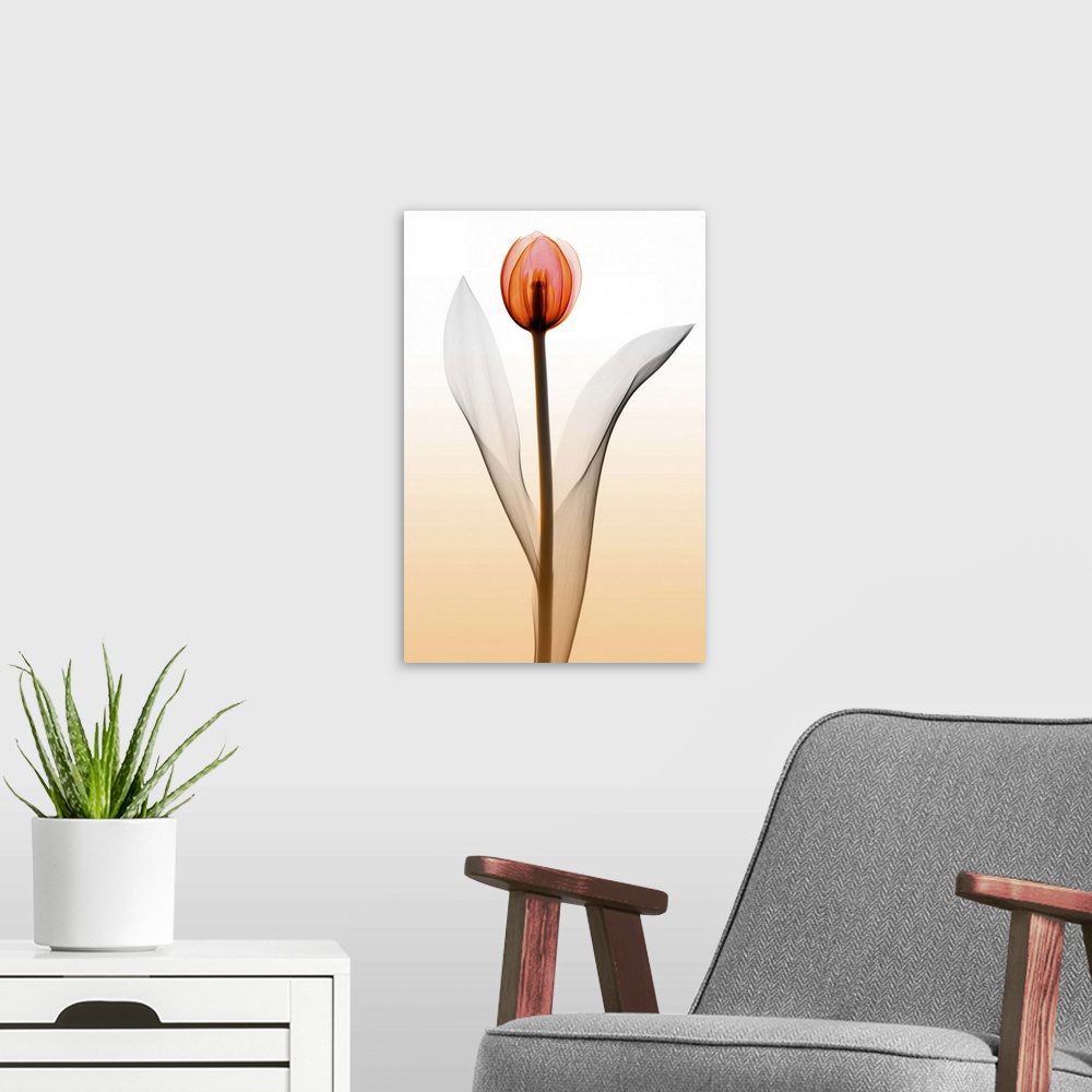 A modern room featuring Fine art photograph using an x-ray effect to capture an ethereal-like image of a single tulip.