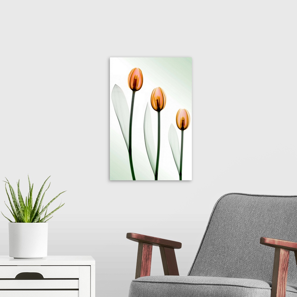 A modern room featuring Fine art photograph using an x-ray effect to capture an ethereal-like image of tulips.