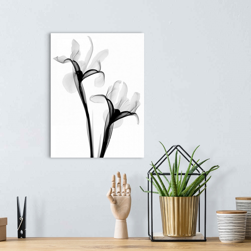 A bohemian room featuring Fine art photograph using an x-ray effect to capture an ethereal-like image of irises.