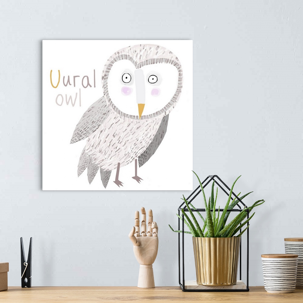 A bohemian room featuring U for Ural Owl