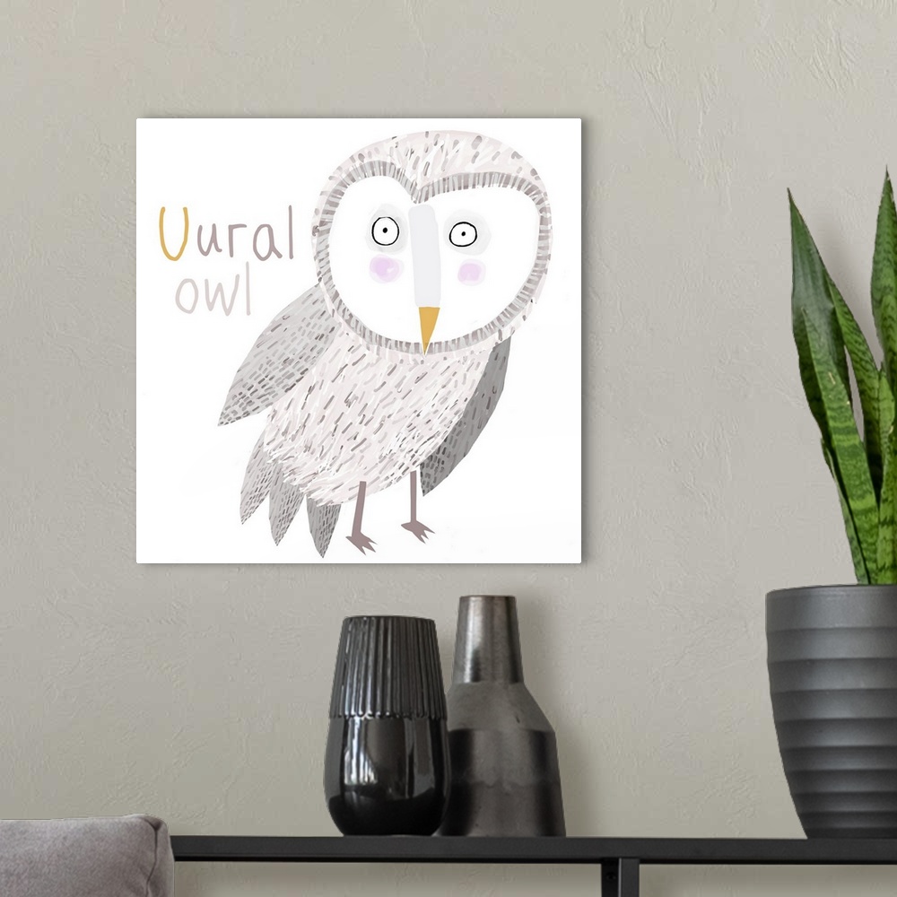 A modern room featuring U for Ural Owl