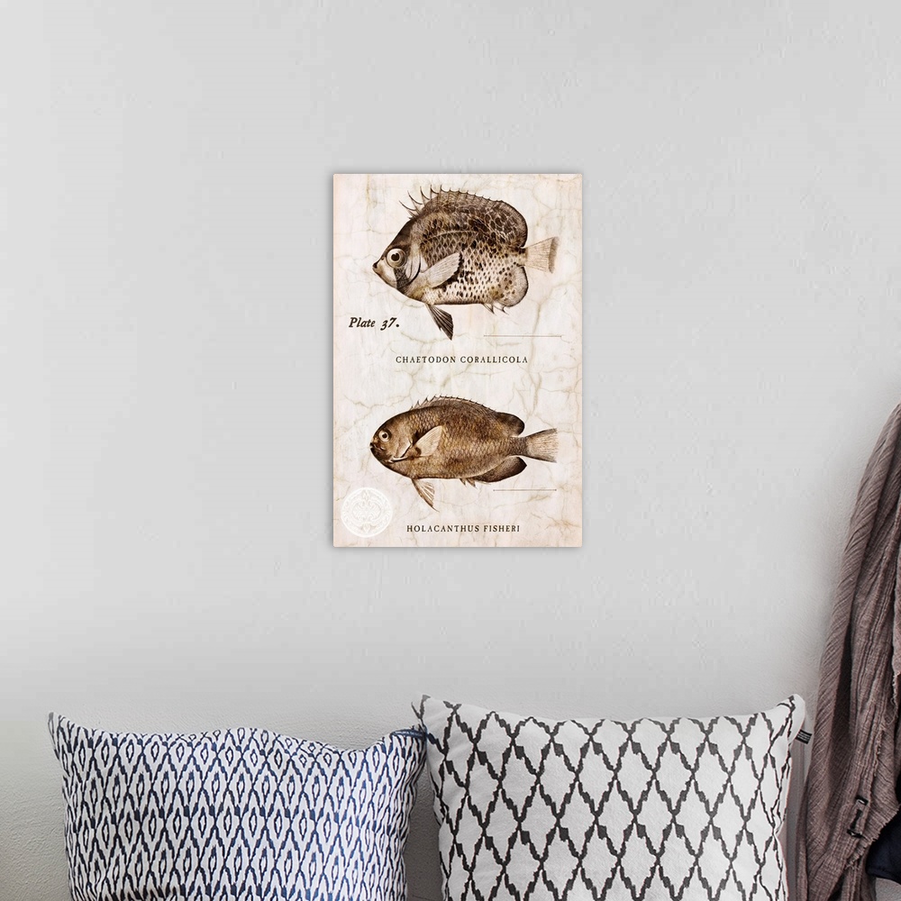 A bohemian room featuring Vintage Fish II