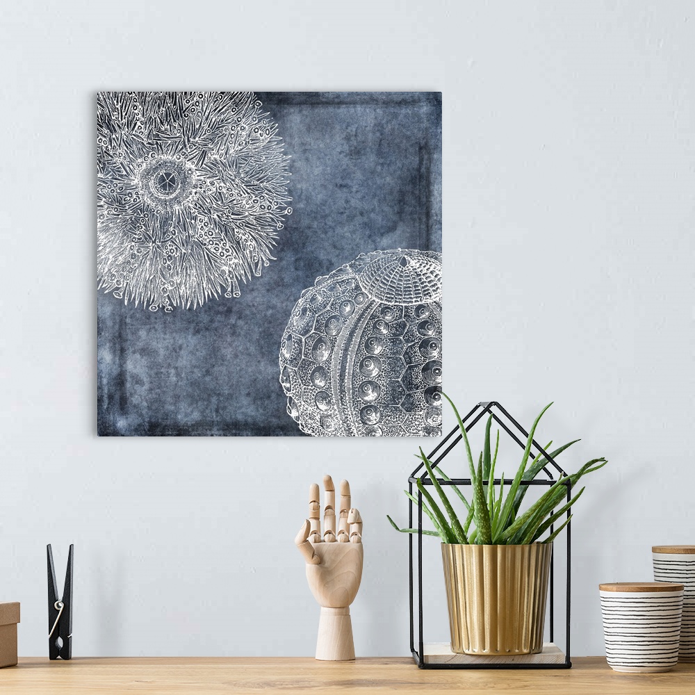 A bohemian room featuring Watercolor urchin painting in white, denim, midnight blue, twilight blue, classic blue and navy t...