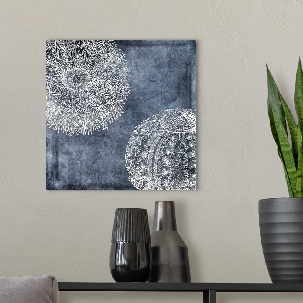 A modern room featuring Watercolor urchin painting in white, denim, midnight blue, twilight blue, classic blue and navy t...