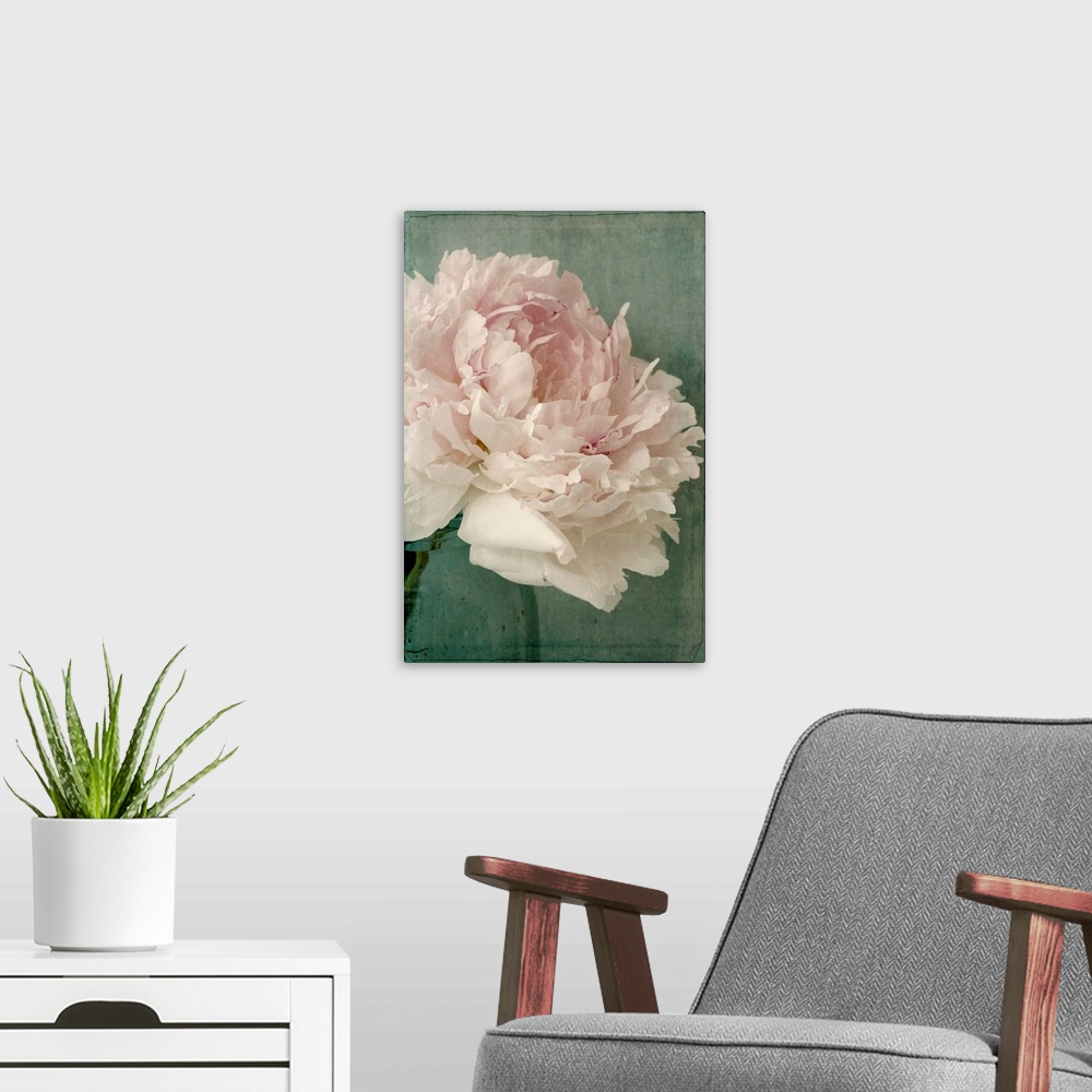 A modern room featuring Vintage Peony A