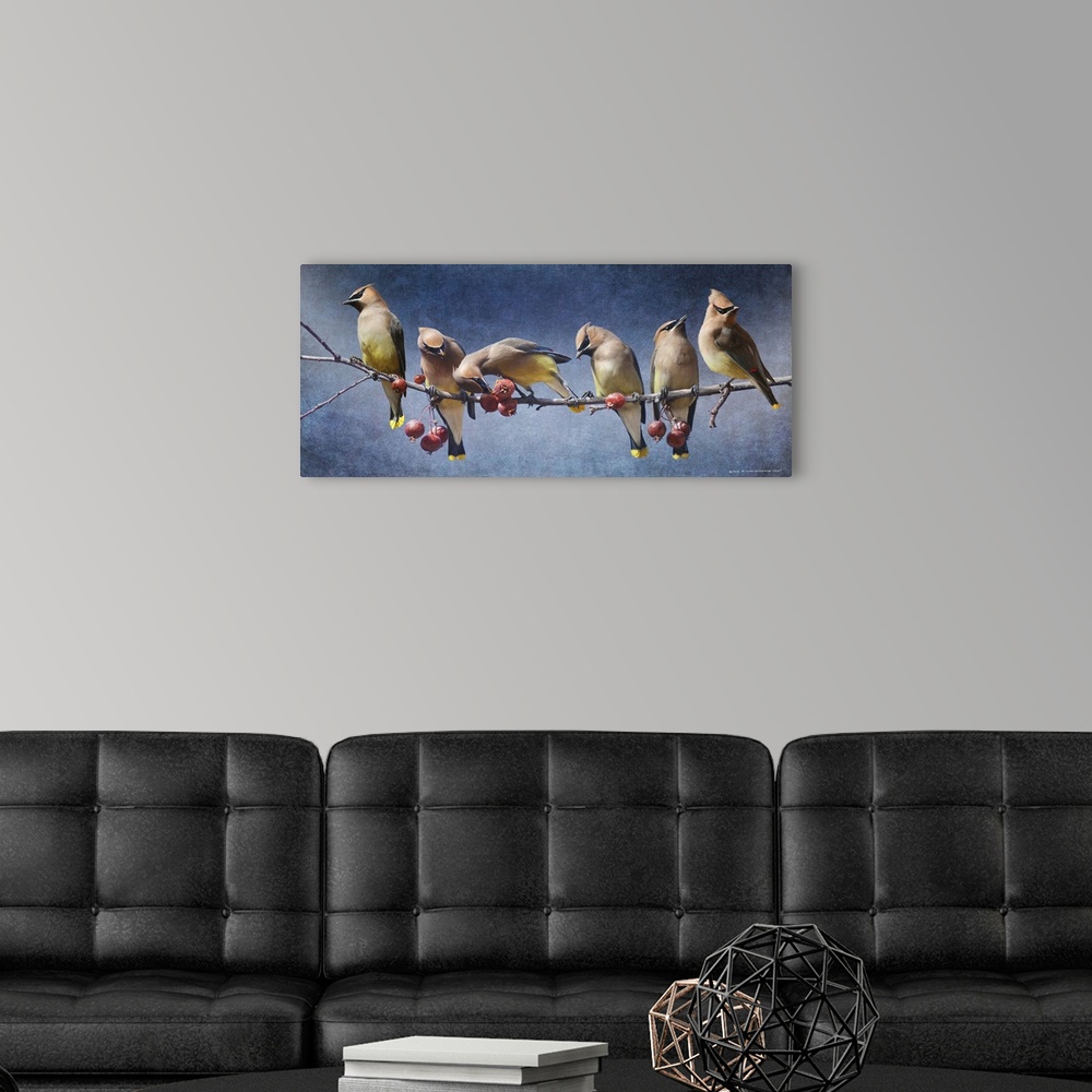 A modern room featuring Contemporary artwork of a waxwings perched on a tree branch.