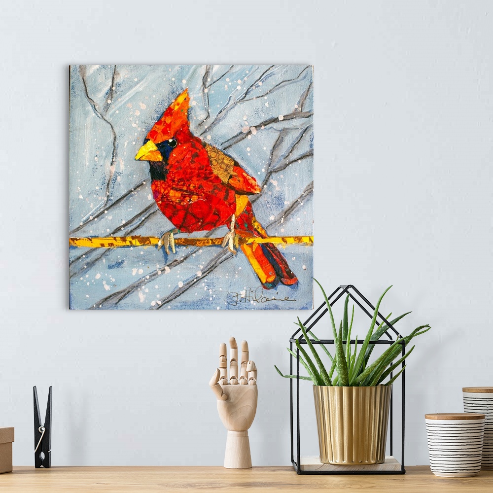 A bohemian room featuring Winter Cardinal Male