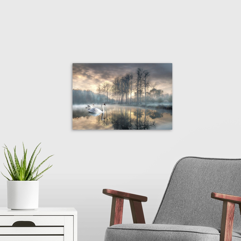 A modern room featuring A watercolor rendition of two peaceful looking swans gliding over a frosty looking, mystic, misty...