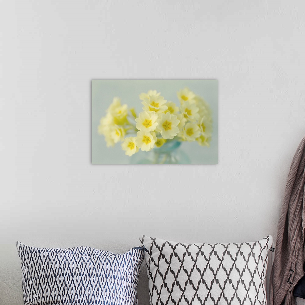 A bohemian room featuring Yellow Primrose