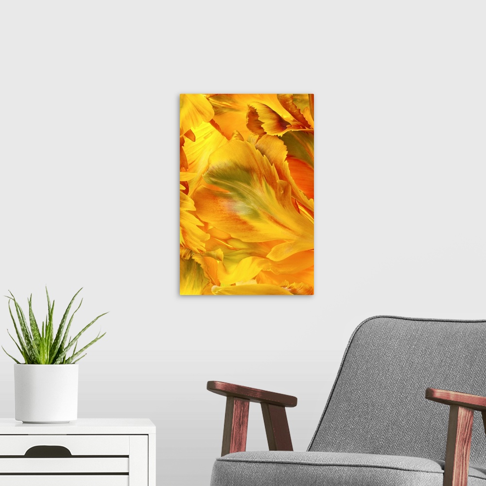 A modern room featuring Yellow Tulip Petals I