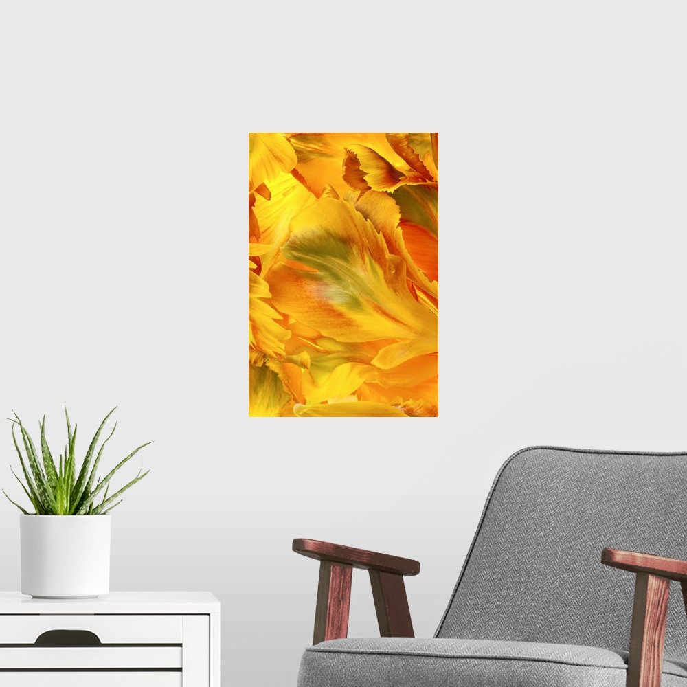 A modern room featuring Yellow Tulip Petals I
