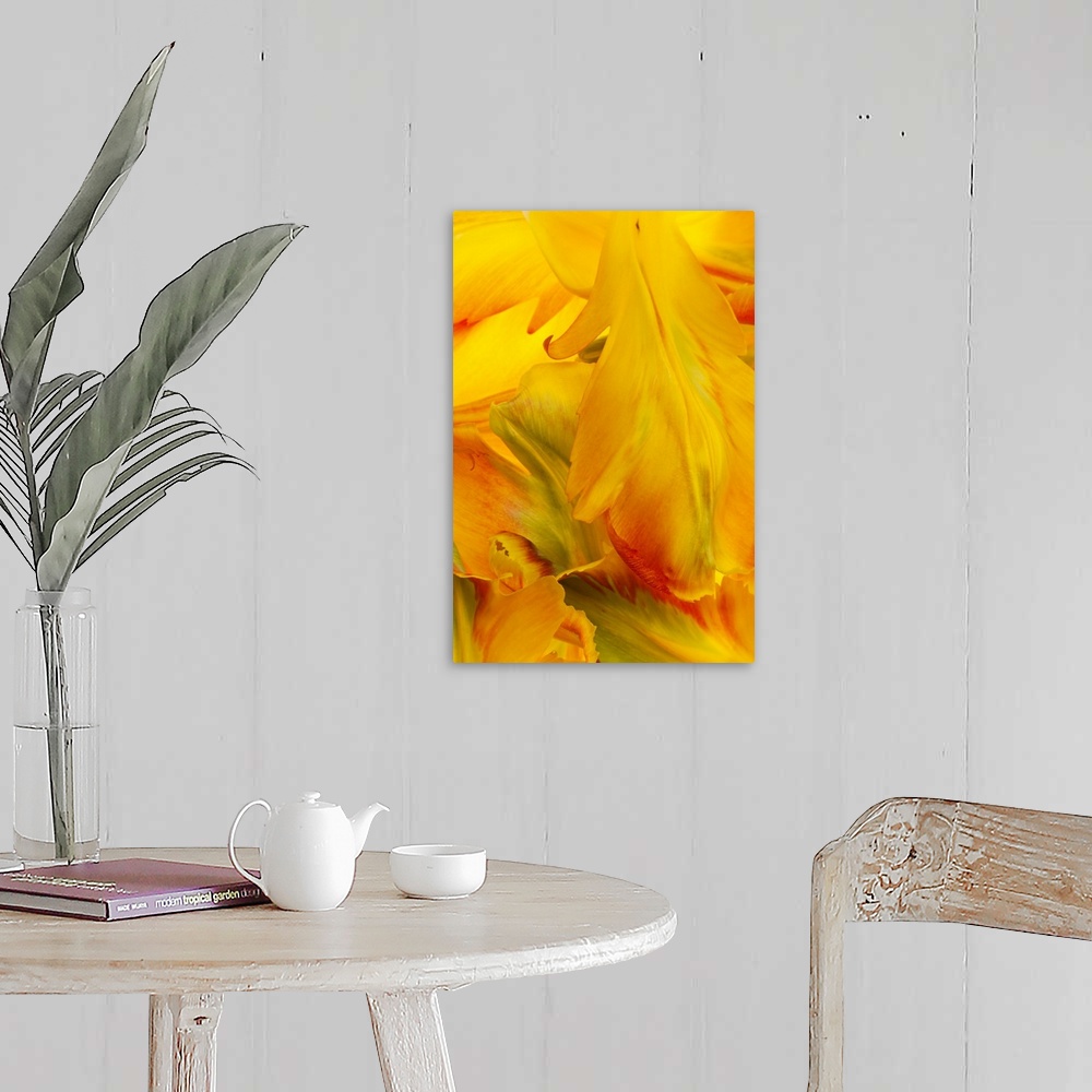 A farmhouse room featuring Yellow Tulip Petals II