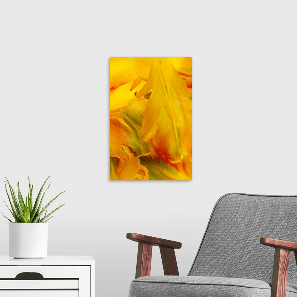 A modern room featuring Yellow Tulip Petals II