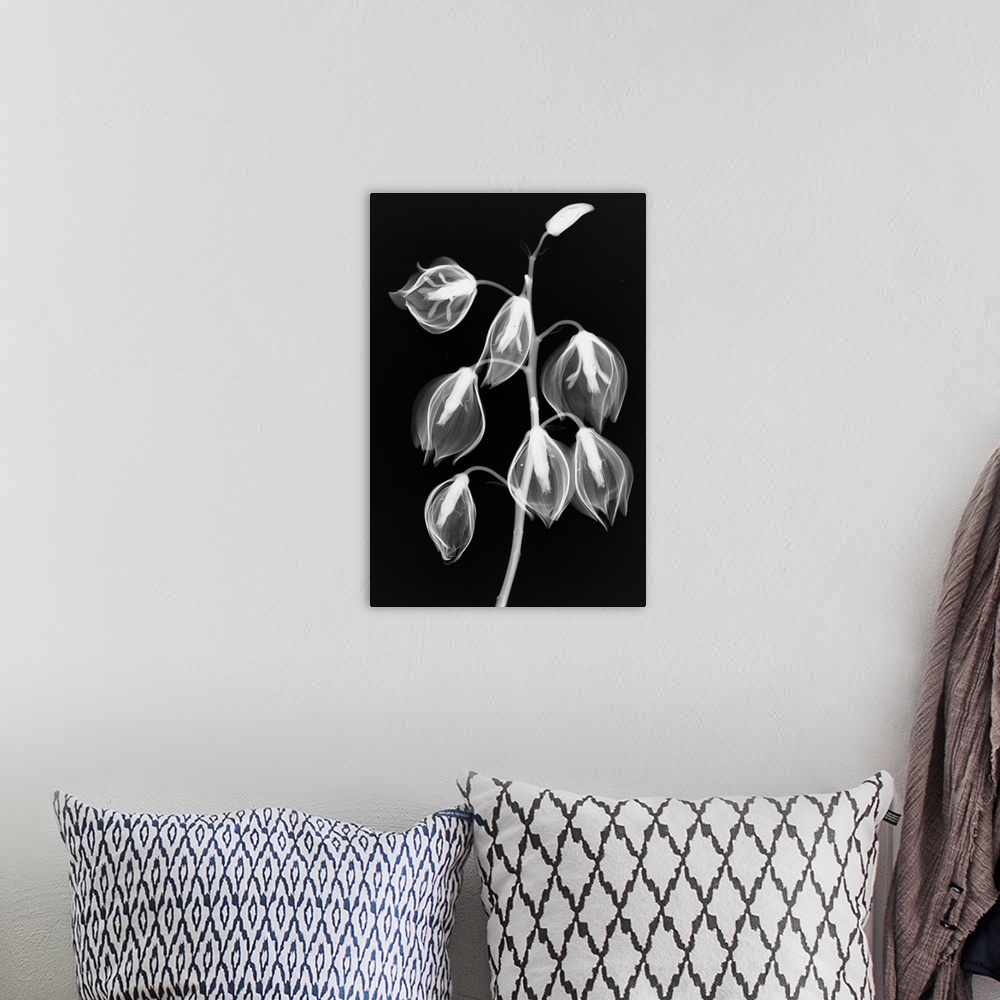 A bohemian room featuring Fine art photograph using an x-ray effect to capture an ethereal-like image of yucca flowers.