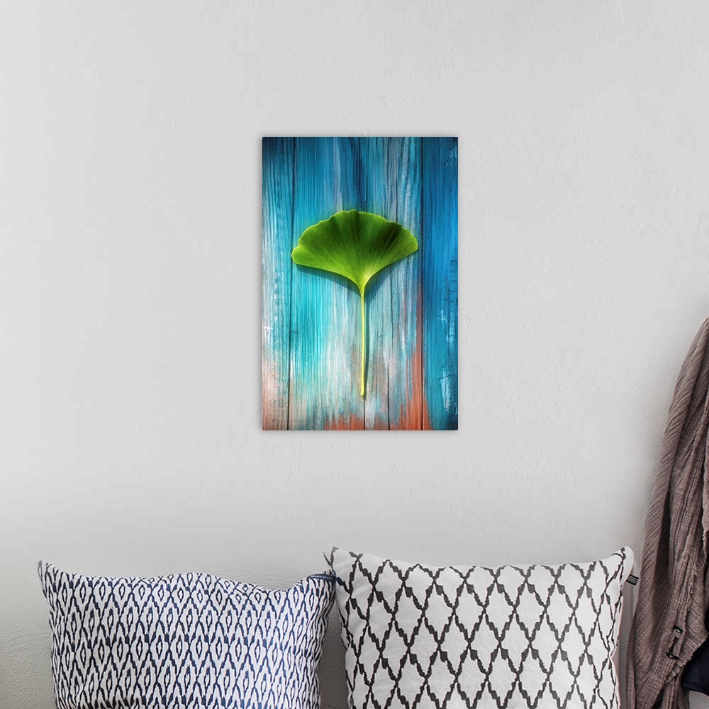A bohemian room featuring Photograph of a single green Ginkgo leaf resting on a distressed piece of wood with blue and whit...