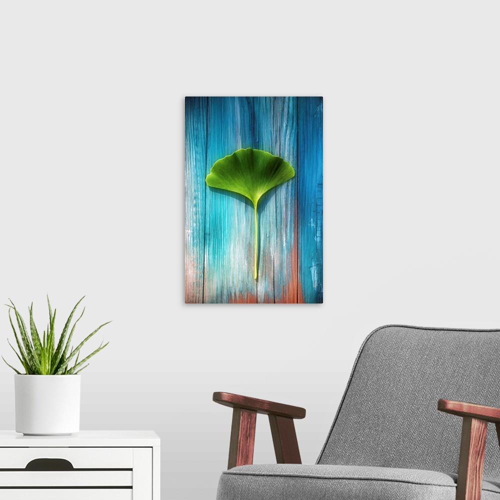 A modern room featuring Photograph of a single green Ginkgo leaf resting on a distressed piece of wood with blue and whit...