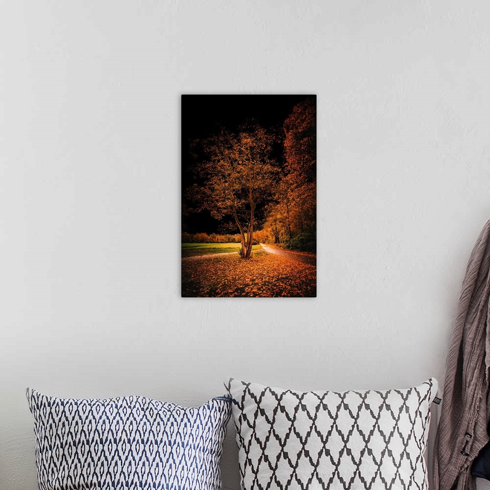 A bohemian room featuring Autumn landscape with black sky