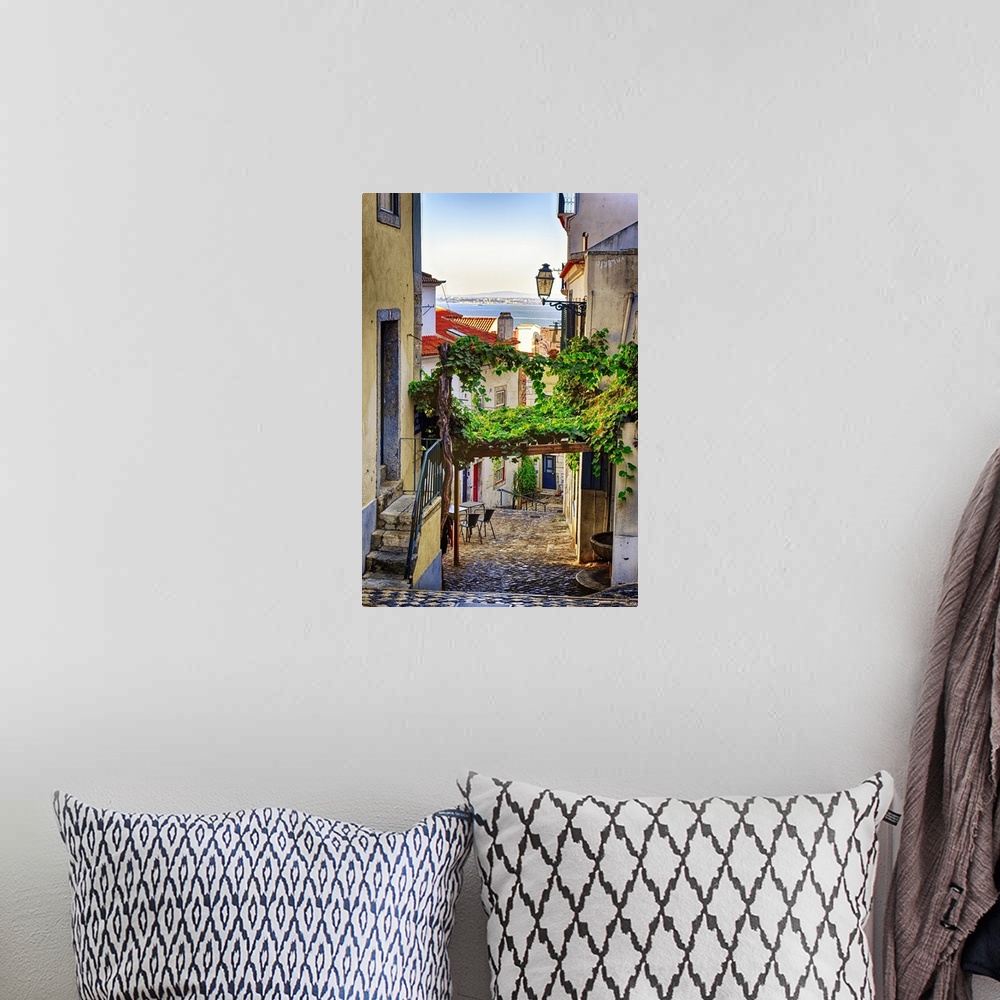 A bohemian room featuring Cobblestone street with grapevine trellis, Alfama district, Lisbon, Portugal.