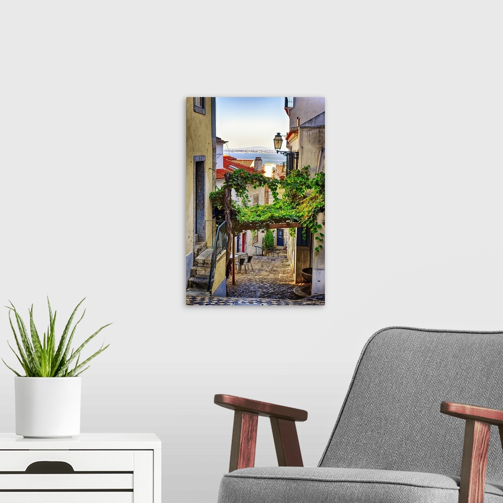 A modern room featuring Cobblestone street with grapevine trellis, Alfama district, Lisbon, Portugal.