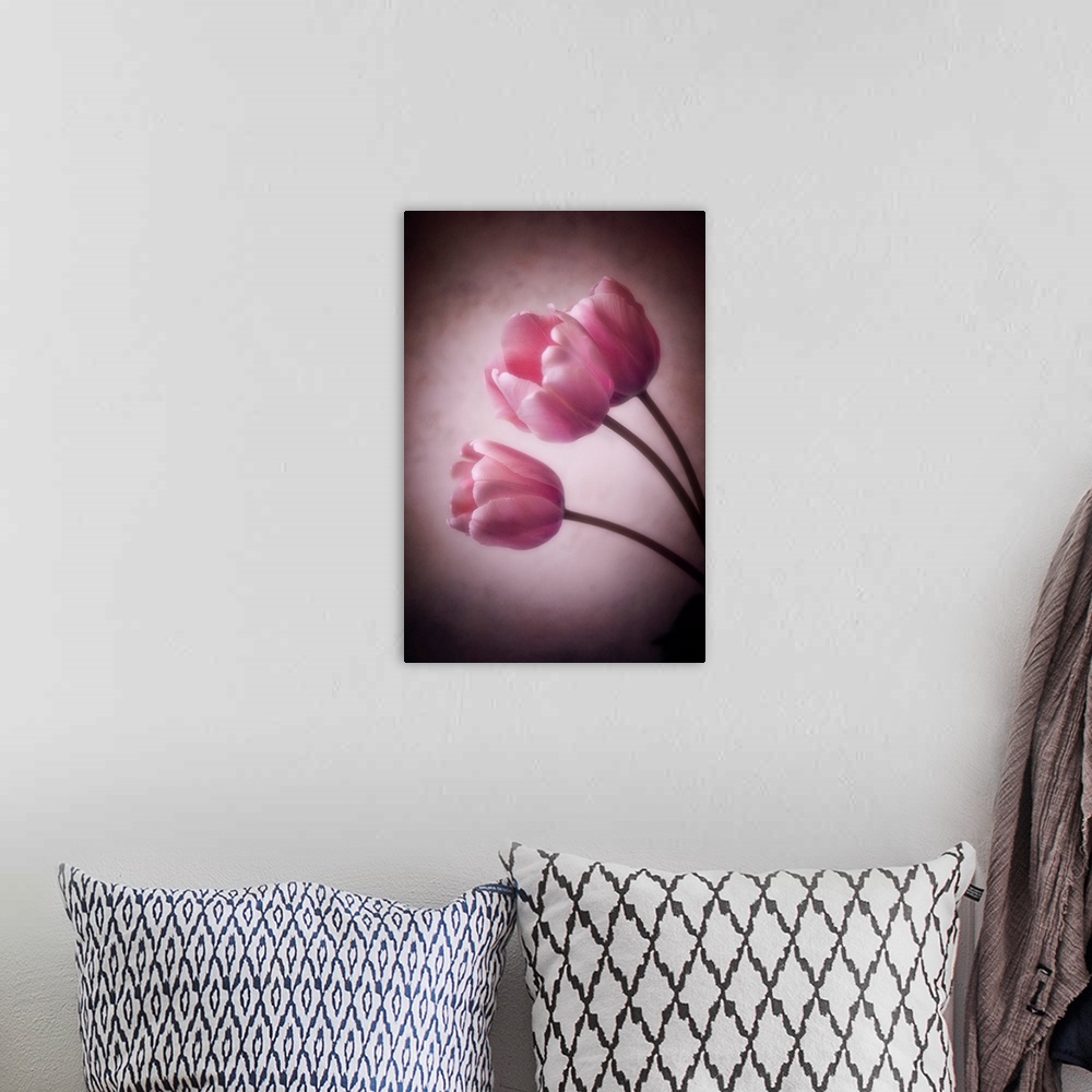 A bohemian room featuring Tulips with the addition of a photo texture