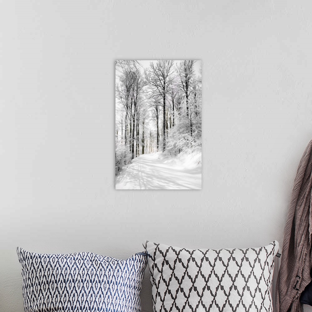 A bohemian room featuring Photo Expressionism - Path in a snowy forest.