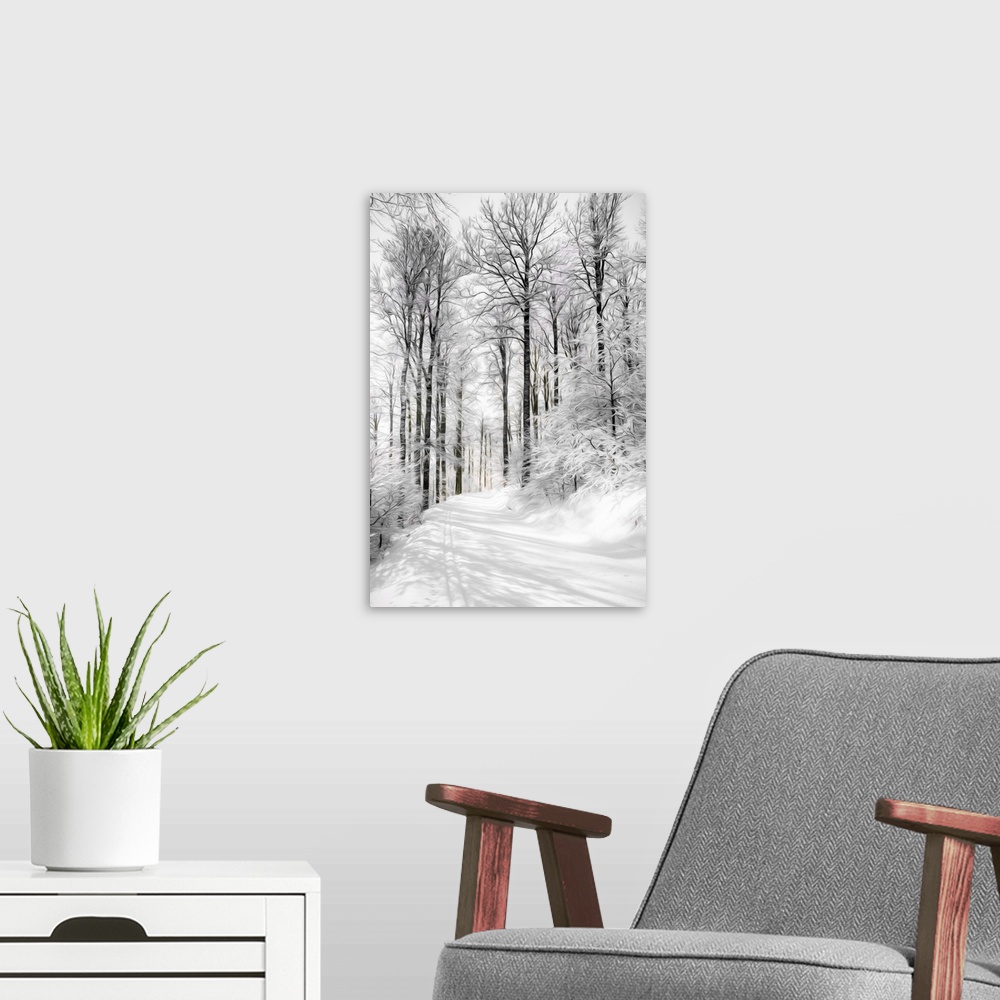 A modern room featuring Photo Expressionism - Path in a snowy forest.