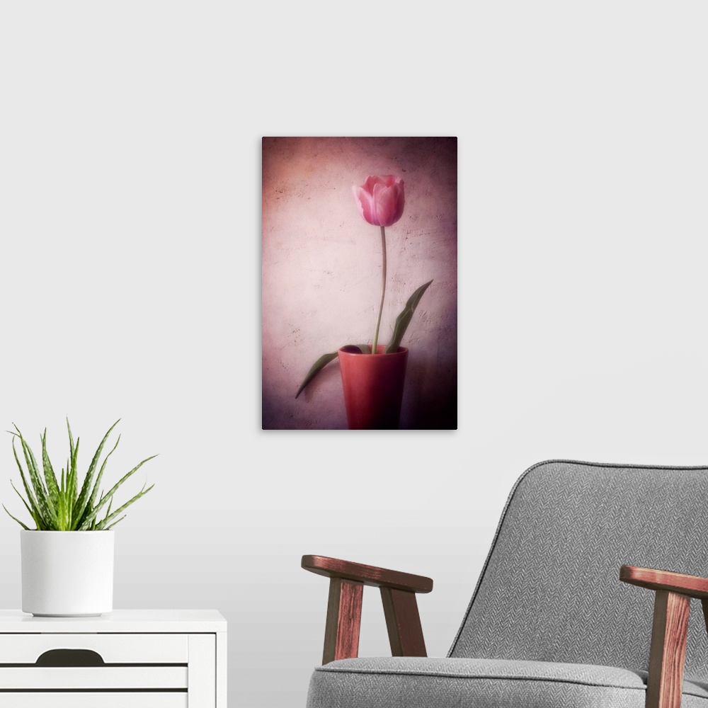 A modern room featuring A tulip in a pot with added photo texture