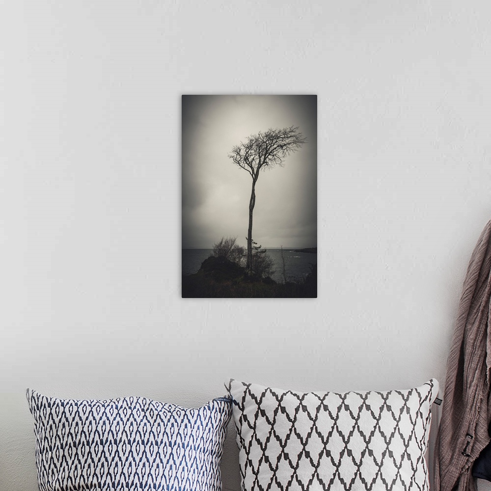 A bohemian room featuring Dark photo of a tree by the water