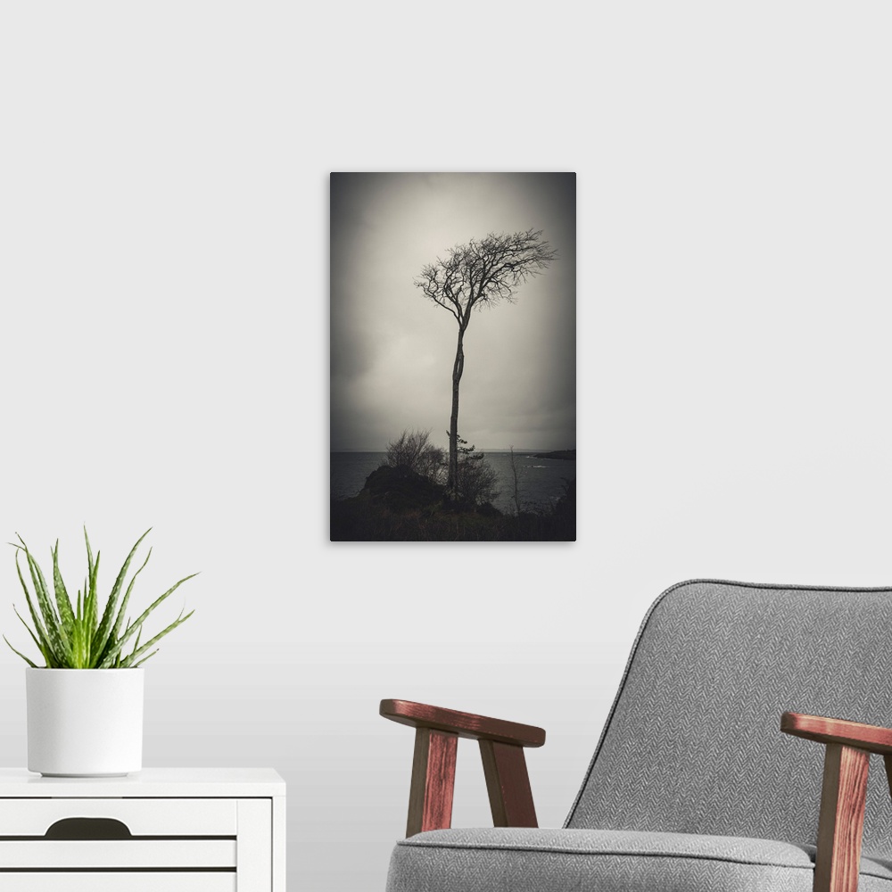 A modern room featuring Dark photo of a tree by the water