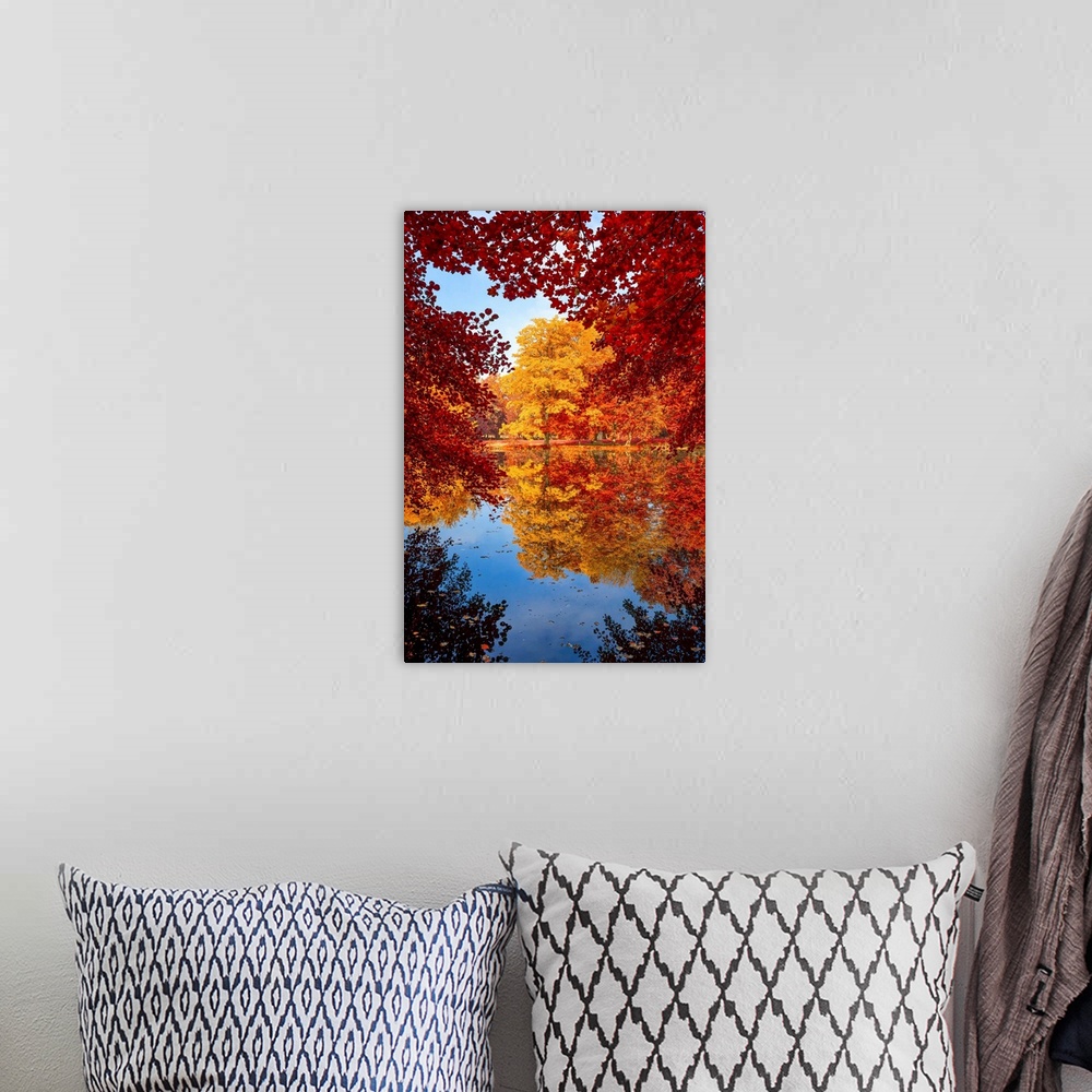 A bohemian room featuring Reflection of trees in autumn around a pond