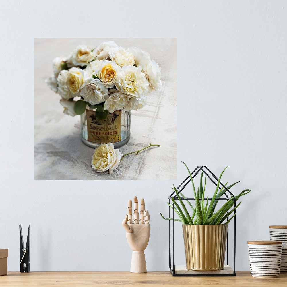 A bohemian room featuring Square photograph of white English roses arranged in a glass jar on a cement surface with soft, h...
