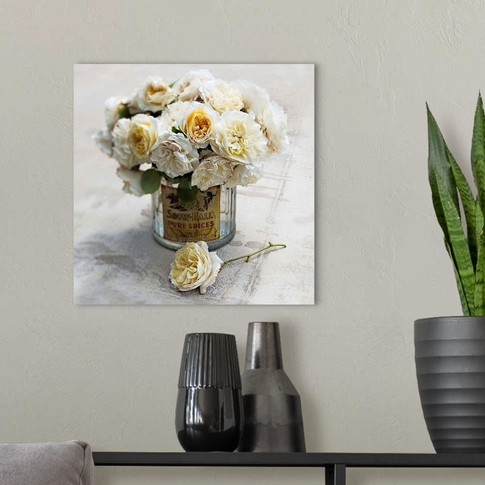 A modern room featuring Square photograph of white English roses arranged in a glass jar on a cement surface with soft, h...