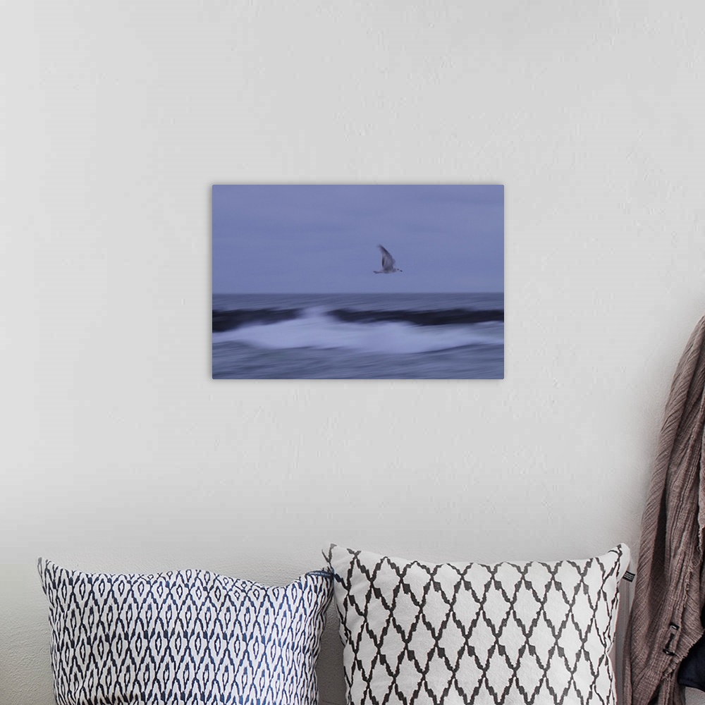 A bohemian room featuring Artistically blurred photo. A seagull flying over a breakwater on the North Sea coast of Denmark.