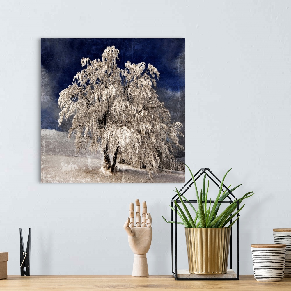 A bohemian room featuring A frozen tree with a photo texture