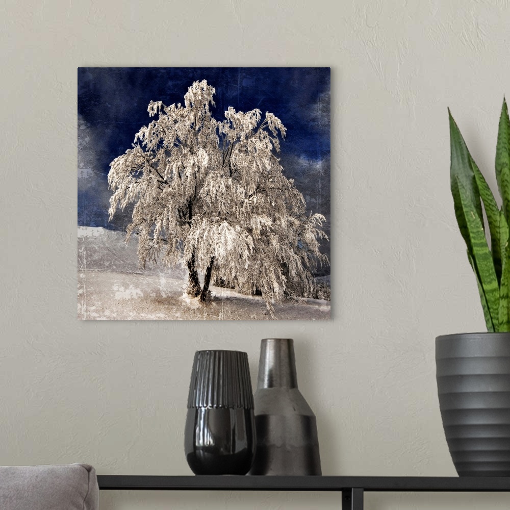 A modern room featuring A frozen tree with a photo texture