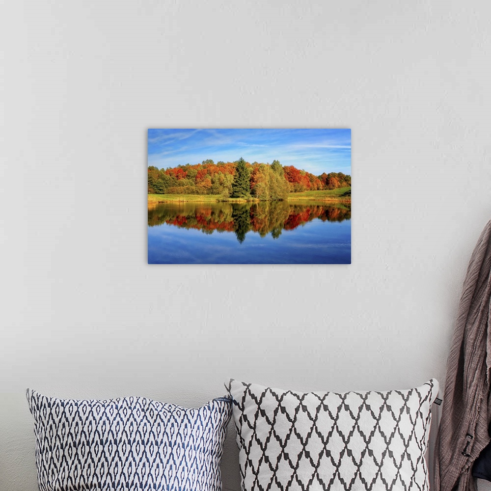 A bohemian room featuring Trees in a variety of fall colors mirrored in a lake with a blue sky above.