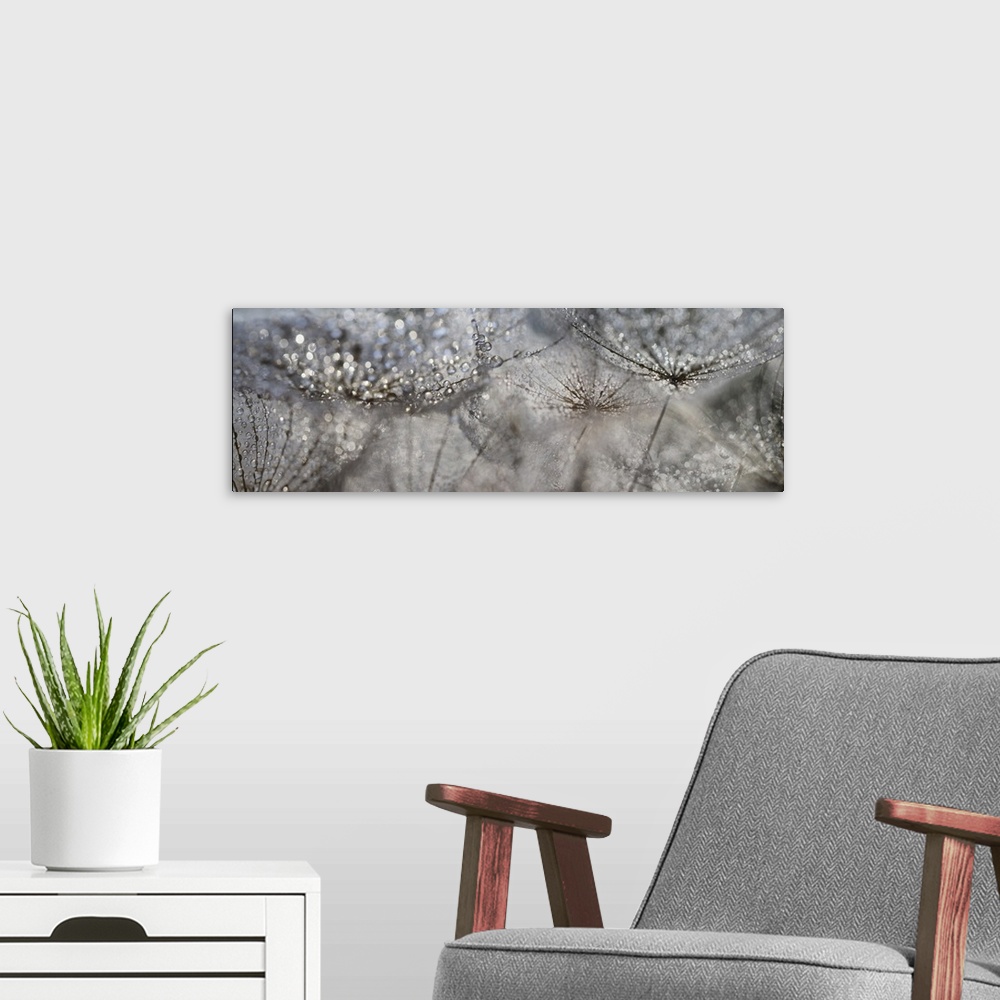 A modern room featuring Several images of drops on seeds added together.