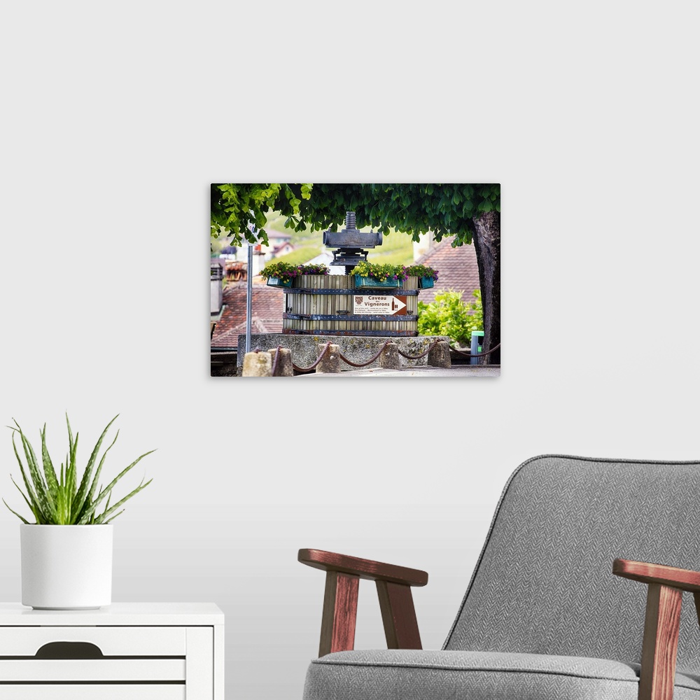 A modern room featuring A photograph of a vintage grape press at a vineyard.