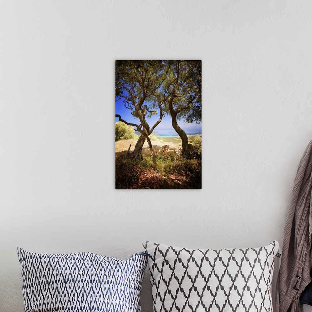 A bohemian room featuring A photograph of a windy trees in a countryside scene.