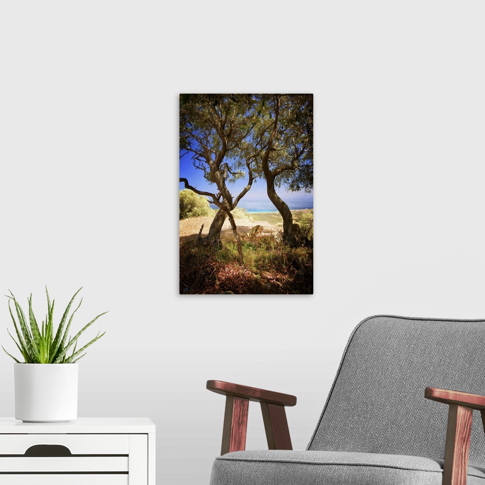 A modern room featuring A photograph of a windy trees in a countryside scene.