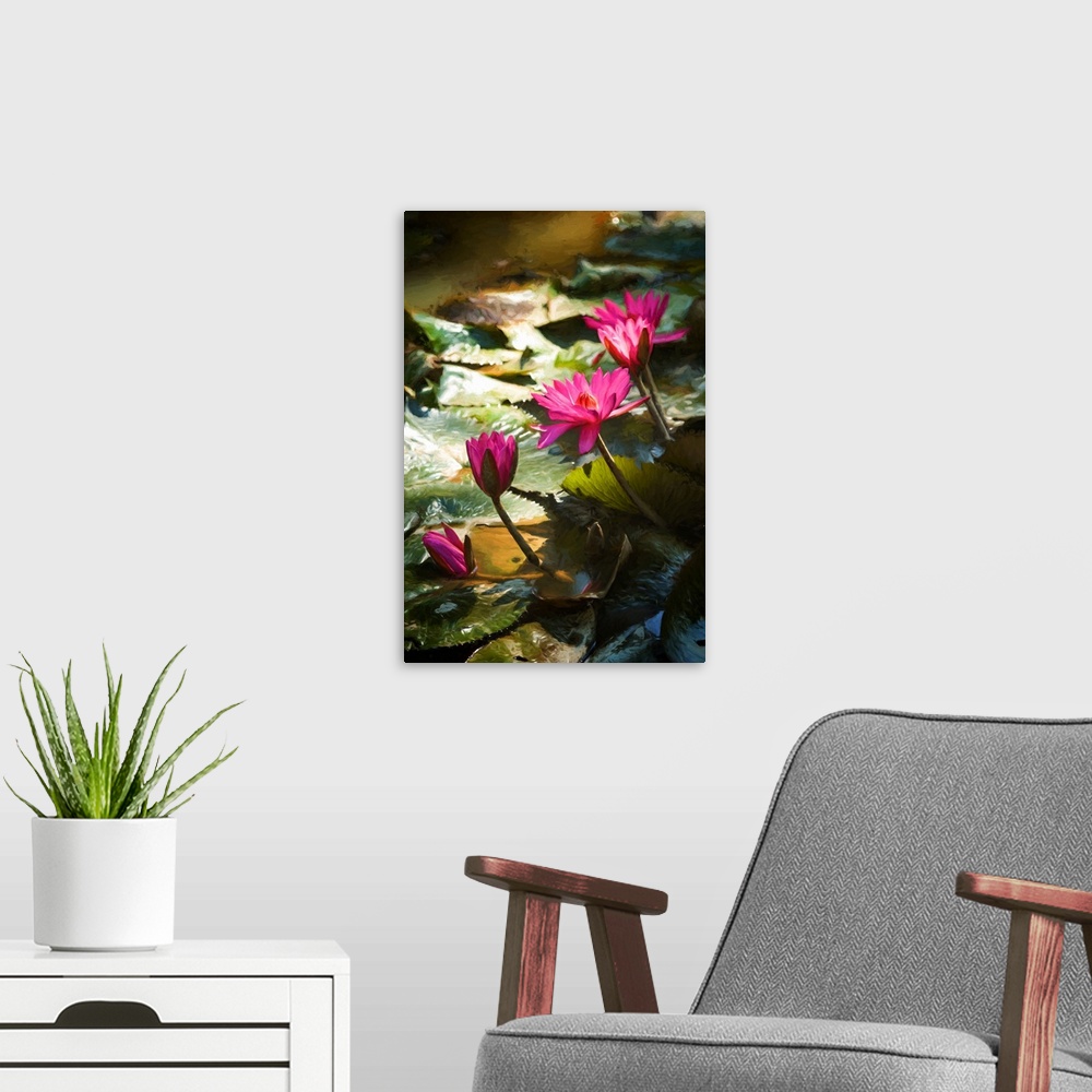 A modern room featuring Water lily flowers between shadow and light