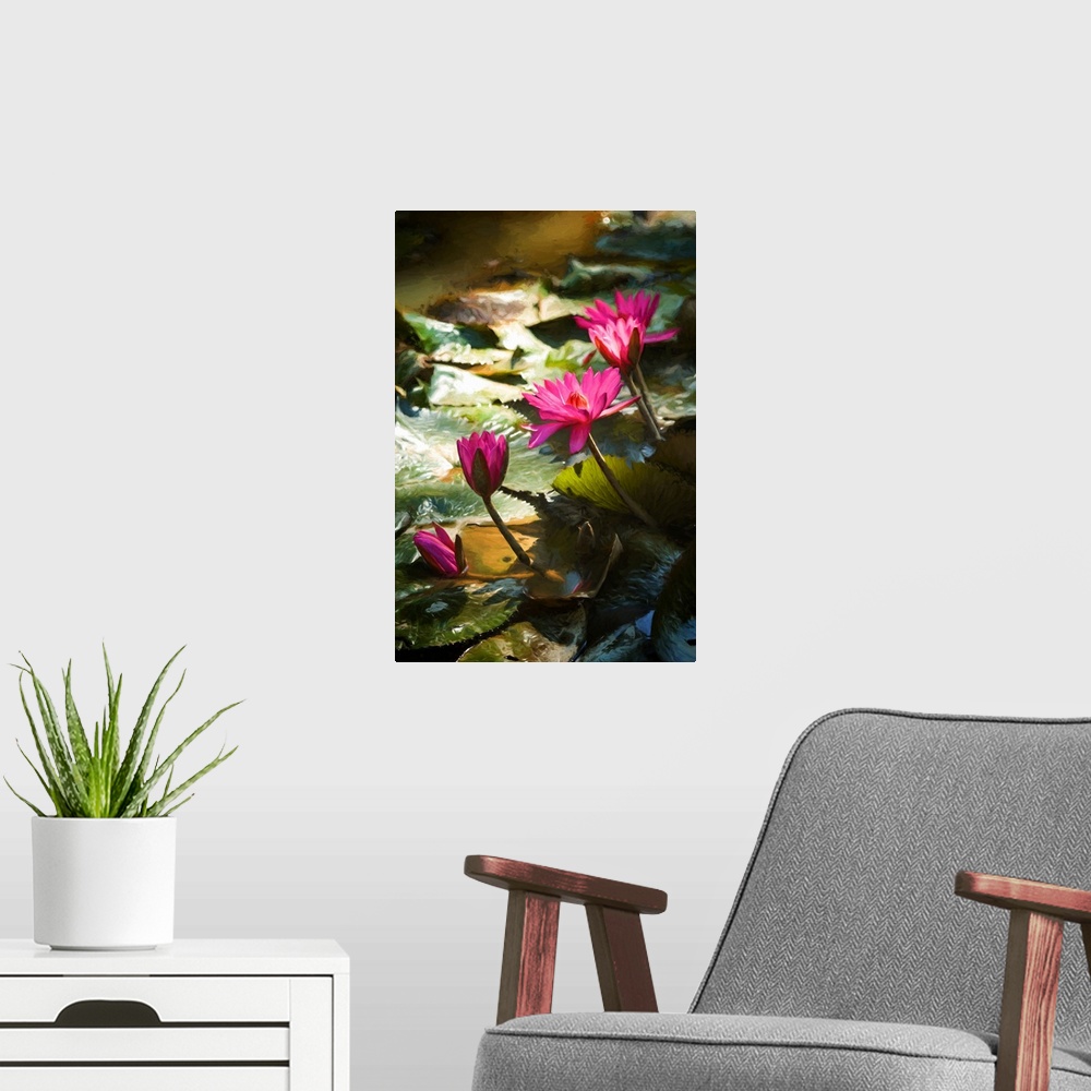 A modern room featuring Water lily flowers between shadow and light
