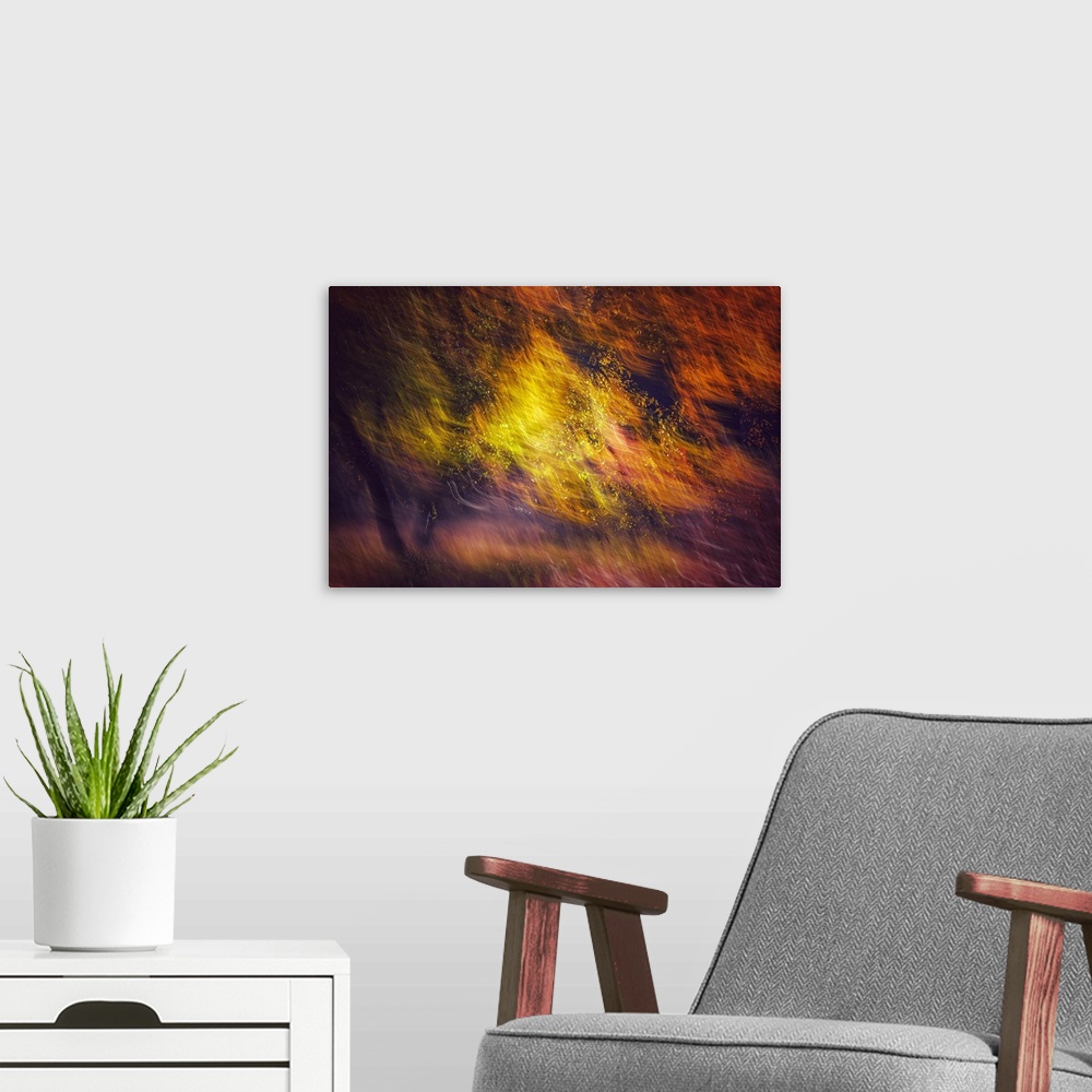 A modern room featuring Double exposure photo of a tree in Fall, showing both still leaves and branches and the same leav...