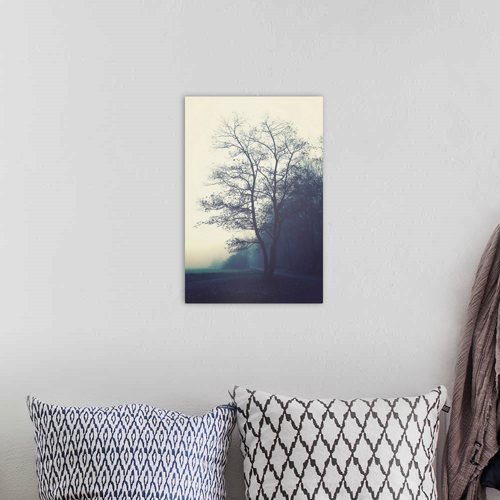 A bohemian room featuring Misty morning in the countryside with a tree in the foreground.