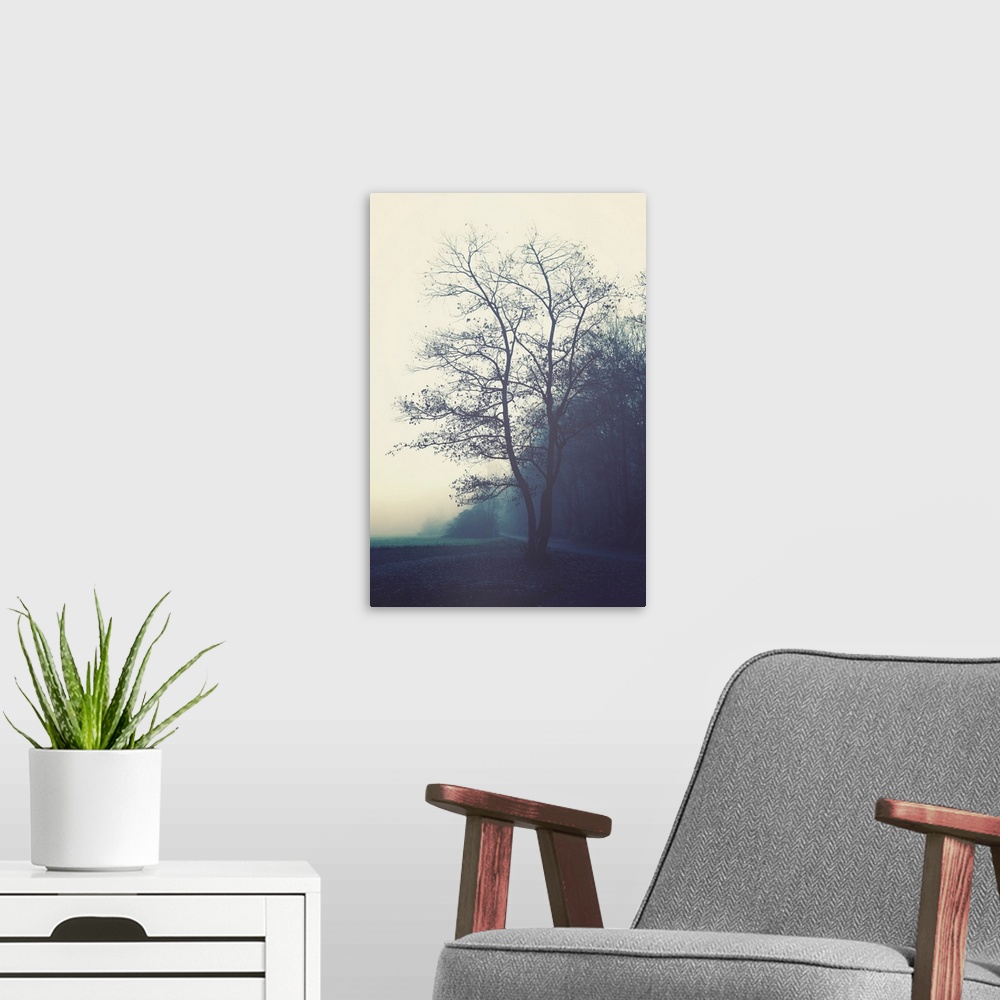 A modern room featuring Misty morning in the countryside with a tree in the foreground.