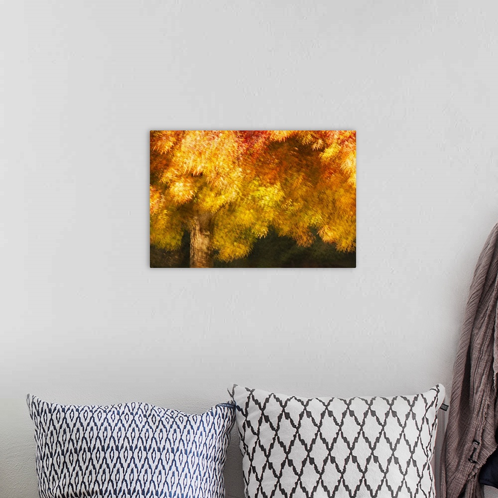 A bohemian room featuring An artistic approach to a colorful fall display of trees in a park.
