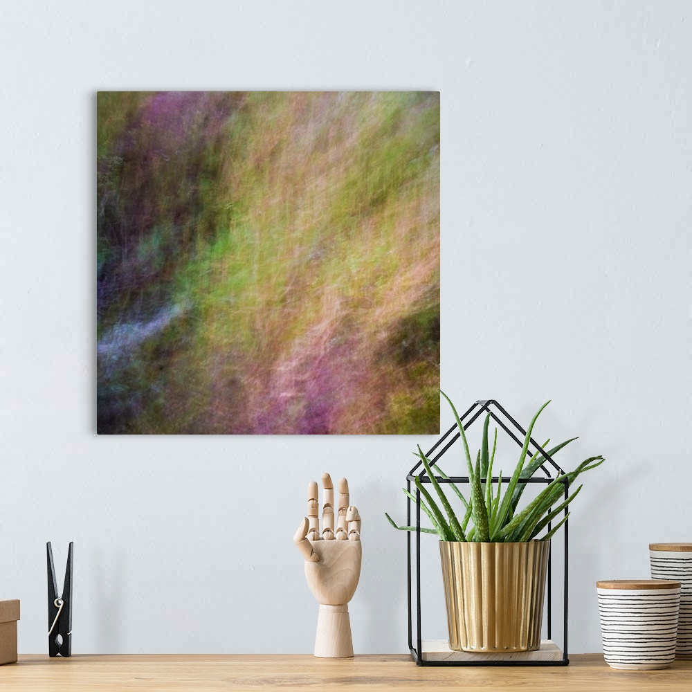 A bohemian room featuring Abstract blurred photograph of fall plants.