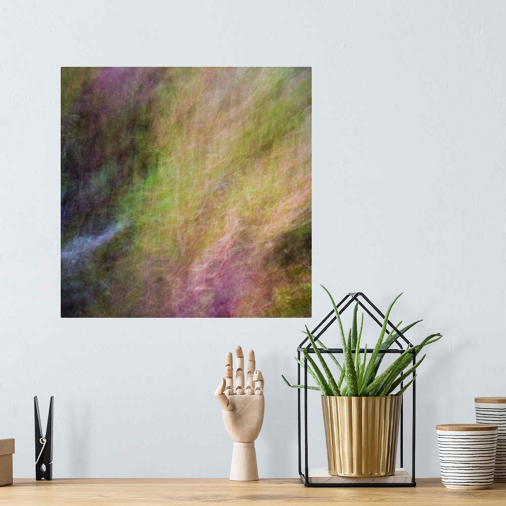 A bohemian room featuring Abstract blurred photograph of fall plants.